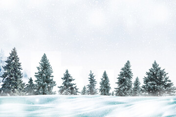 Fototapeta premium Landscape. Frozen winter forest with snow covered trees.