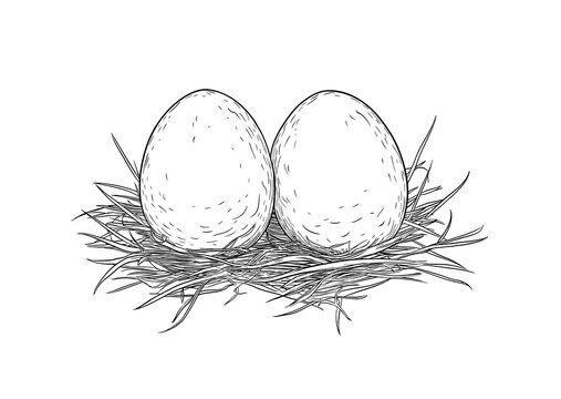 recommend clip art: Nest with eggs, sketch. Vintage retro print, hand-drawn illustration nest, eggs, engraving, detailed drawing, eggs nest. Black ink, simple lines, sketch style, line art, graphic design. Illustration