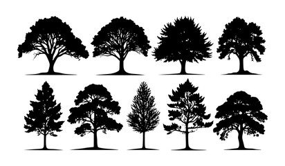 Fototapeta premium Collection of tree silhouettes