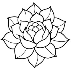 vector rose flower