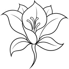 black and white flower