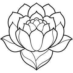lotus flower vector