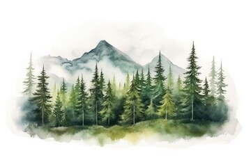 Fototapeta premium Forest landscape mountain outdoors.