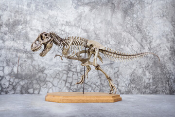 Skeleton of Dinosaur Tyrannosaurus Rex or t-rex running position on wooden base and Loft background retro vintage style. © Panupong