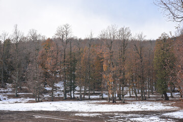 Winter and cold Algeria in North Africa, Winter snow mountain cabin panorama. Winter mountain snow panorama forest tree. landscape mountain snow. Snowy winter mountains, jijel Algeria sun cloud