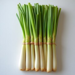 Fototapeta premium Bundle of Fresh Green Onions