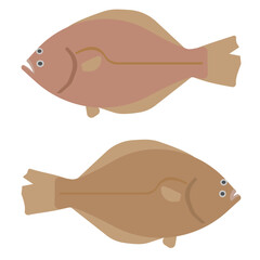 カレイとヒラメのイラスト