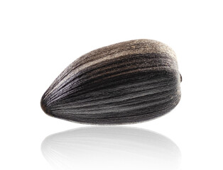 Black unshelled sunflower seed isolated on white. Full depth of field.  Volumetric back light
