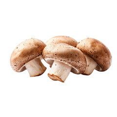 Fresh brown mushrooms on a transparent background