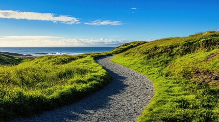 a sandy path that leads through lush green grass to a tranquil beach. The vibrant blue sky stretches endlessly in the background, with natural lighting providing clarity and detail