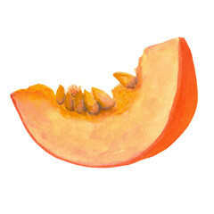 Watercolor hand-drawing slice of pumpkin. Fall composition, slice of pumpkin. Fall, autumn, thanksgiving, holiday