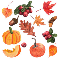Composition of pumpkin, leaves, acorn and cranberries. Pumpkin, leaves, cranberries, acorn, fall, thanksgiving day, holiday
