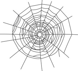 Obraz premium Decorative cobweb. Gothic insect net black element