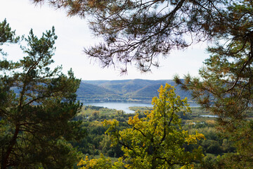 autumn in the forest. Autumn landscape with dense trees and vibrant foliage under a clear blue sky. from a bird's eye view. Scene of unspoiled nature.