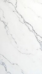 A high-gloss marble wall featuring white and gray veining, exuding elegance and sophistication, perfect for modern interiors