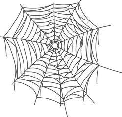 Creepy spider web element. Black line net