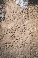 Bird tracks in the sand in the Tien Shan Mountains