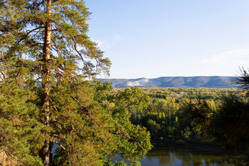 autumn landscape in the mountains. landscape with a lake surrounded by dense trees and vibrant foliage under a clear blue sky
