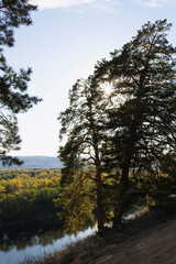 sunbeams through the trees. Autumn landscape with a lake surrounded by dense trees and vibrant foliage under a clear blue sky