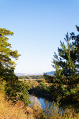 river in the forest. Autumn landscape with a lake surrounded by dense trees and vibrant foliage under a clear blue sky. vertical