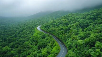 beautiful curve road aerial view on green forest in rain season with lush foliage and remote landscape in nature