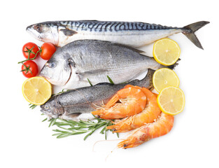 Different fresh sea food with rosemary, tomatoes and lemon isolated on white, top view
