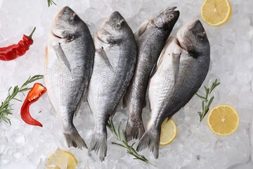 Sea food. Different types of raw fish, lemons, chili and rosemary on ice cubes, flat lay