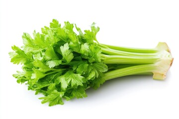 Fresh celery arranged on a white background