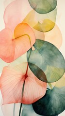 Monsteras abstract petal plant.