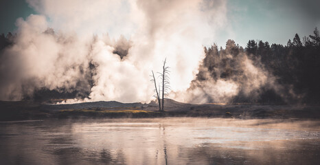 Geysers and a dead tree behind Lake Yellowstone in the Yellowstone National Park