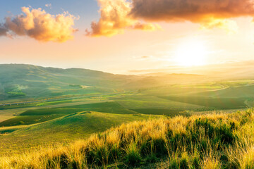 beautiful landscape in a yellow golden field in autumn or summer evening with nice rustic view of hills in countryside