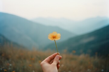 A person holding a flower in front of hills background photography landscape outdoors.