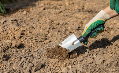 Close-up of hands digging soil with garden shovel. Springtime, working on a plot of land, landscaping, gardening, growing flowers, fruit crops. Copy space.