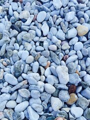 Textured Stone Surface for Background and Design Elements