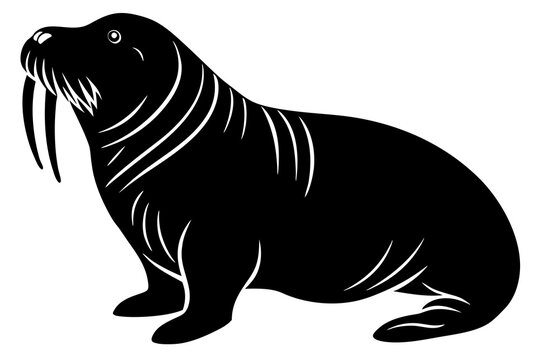 recommend clip art: Walrus Silhouette with Heavy Body Large Tusks and Flippers