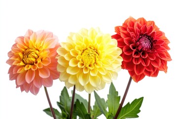 A bouquet of vibrant flowers in a decorative vase, perfect for decorating a table or desk