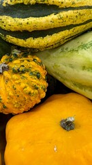 Vertical close-up of colorful pumpkins, highlighting their vibrant textures and shapes. A perfect autumn-themed background for seasonal promotions, harvest celebrations, or fall decor inspiration
