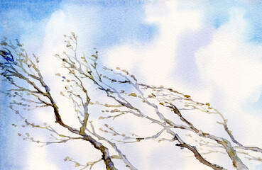 Watercolor landscape. Old bare tree