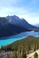 This stunning landscape photo captures the serene beauty of Peyto Lake in Banff National Park, Canada. The vibrant turquoise waters contrast dramatically with the rugged Rocky Mountains.
