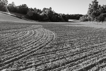 Obraz premium Country roads Sweden 