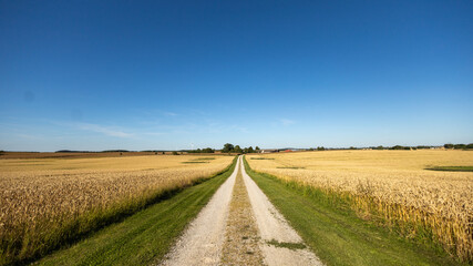 Country roads Sweden 