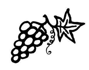 Grapes. Hand drawn fruit bold line ink doodle. Black vector illustration isolated on white background.