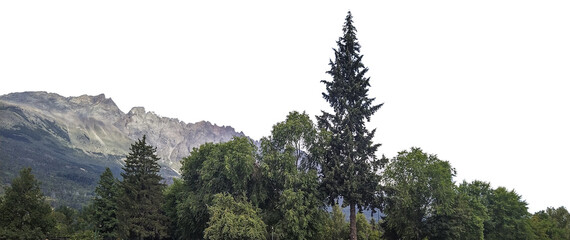 Trees and background mountains panoramic isolated photo
