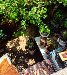 Little garden at patio beside the house. Some pots with flower