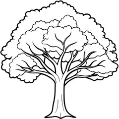 big tree outline coloring book page line art drawing