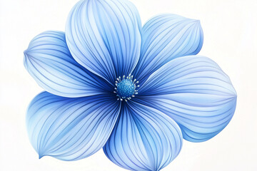 Obraz premium blue chrysanthemum flower