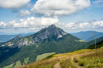 Fototapeta premium View of Vel'ký Rozsutec Peak in the Little Fatra, Slovakia on a Beautiful Summer Day