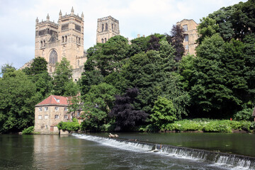 Durham Cathedral viewed from river walk - Durham - County Durham - England - UK