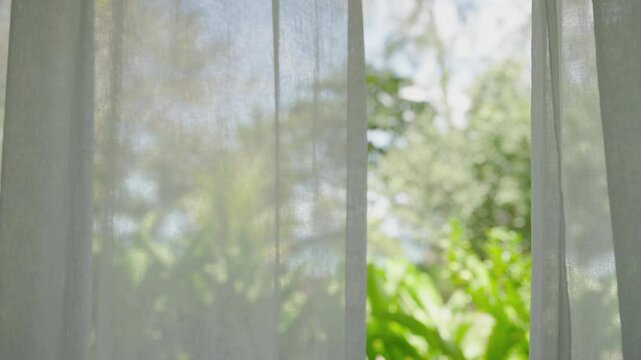 window in the garden morning. Close up wind blowing white curtain from open window tree sunshine morning. 