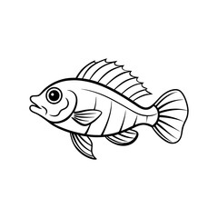 fish isolated on white